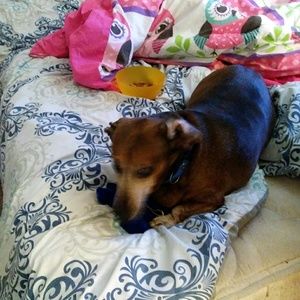 Meet your Posher, Diane